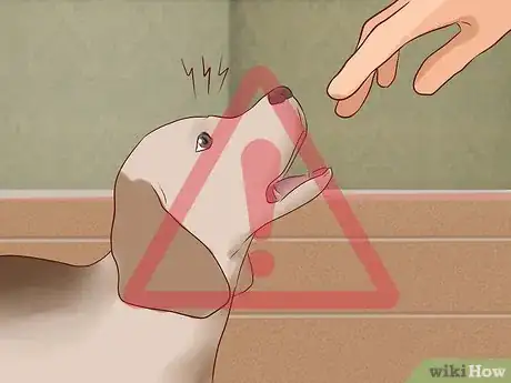 Image titled Discourage a Dog From Biting Step 6