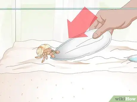 Image titled Make Hermit Crab Food Step 13