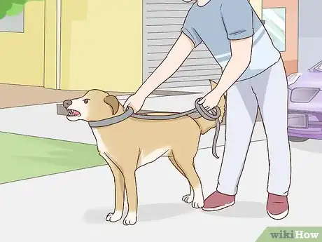 Image titled Calm an Aggressive Dog Step 12
