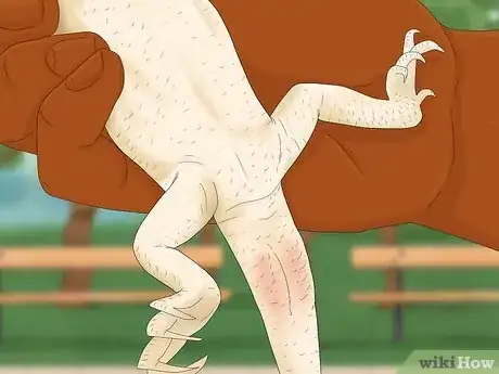 Image titled Tell the Sex of a Bearded Dragon Step 5