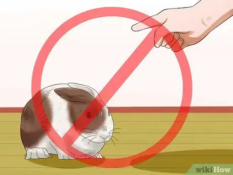 Image titled Teach Your Rabbit to Go Back to His Hutch Step 13