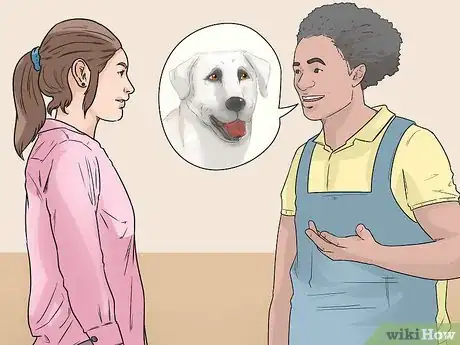 Image titled Identify a Kangal Dog Step 11