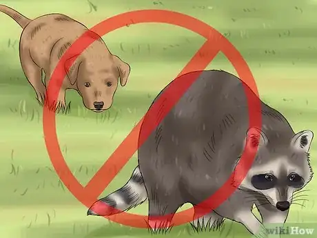 Image titled Prevent Rabies in Dogs Step 3