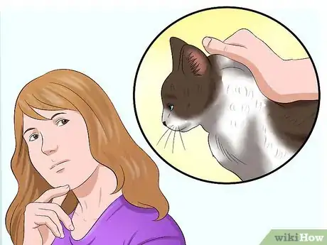 Image titled Carry a Cat Step 17