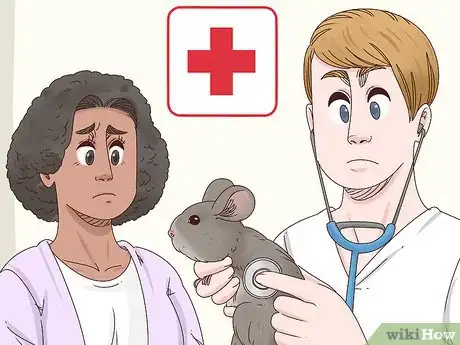 Image titled Help a Choking Chinchilla Step 6