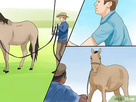 Image titled Train a Horse to Respect You Step 6