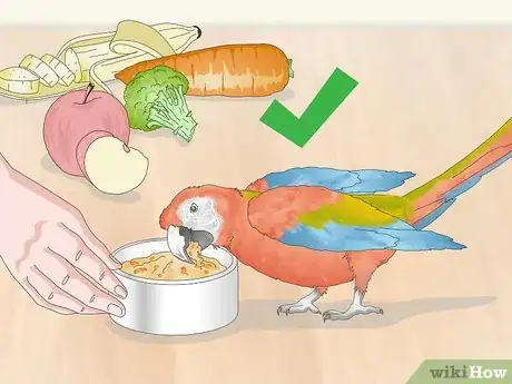 Image titled Stop a Macaw from Feather Picking or Chewing Step 11
