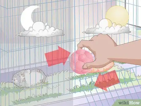 Image titled Get a Hamster to Sleep Step 4