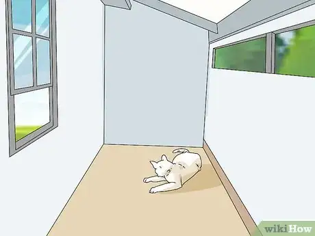 Image titled Make a Cat Comfortable Around You Step 1