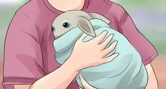 Restrain a Rabbit