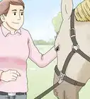 Teach Your Horse to Back up from the Ground