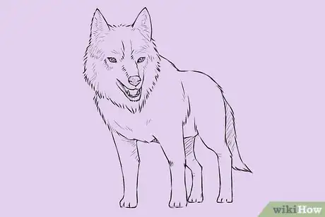 Image titled Draw a Wolf Step 18