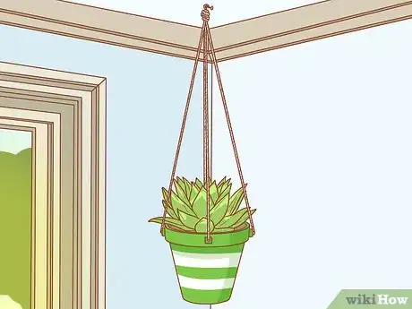 Image titled Protect Your Houseplants from Pets Step 2