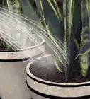 Repot a Plant