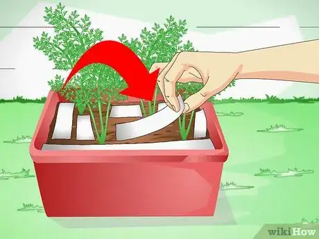 Image titled Keep a Cat out of Potted Plants Step 5