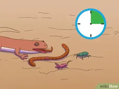 Image titled Feed a Salamander Step 8