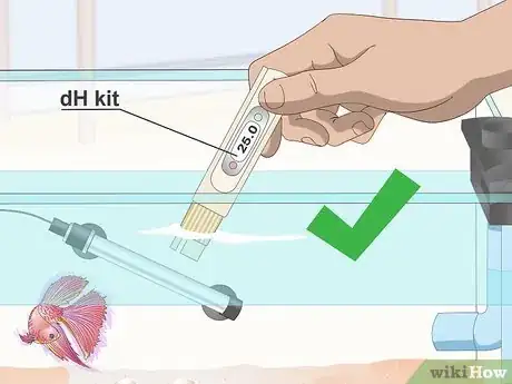 Image titled Prevent and Treat Popeye in Betta Fish Step 5