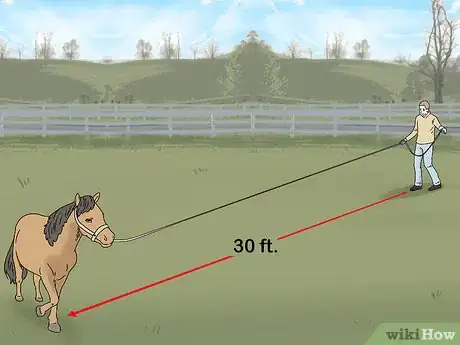 Image titled Keep a Miniature Horse Fit Step 6