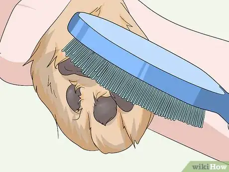 Image titled Cut Dog Paw Hair Step 3