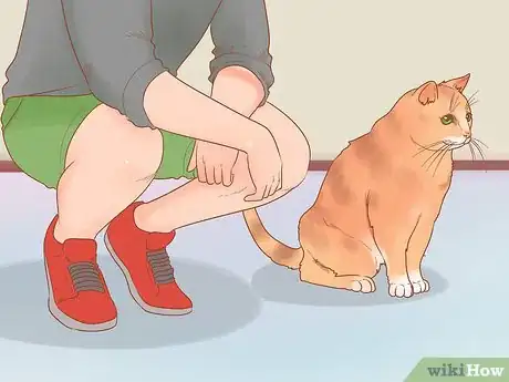 Image titled Get Someone Else's Cat to Like You Step 1