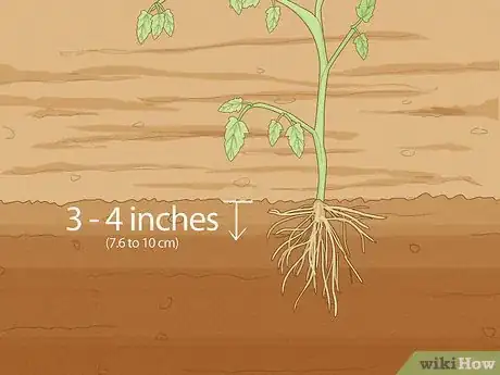 Image titled Determine How Much Water Plants Need Step 13