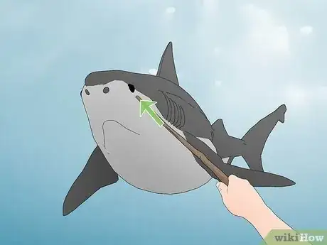 Image titled Survive a Shark Attack Step 5