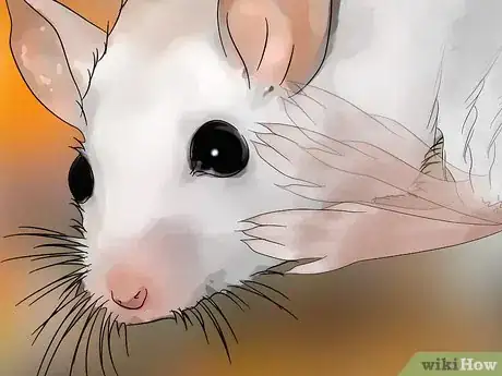 Image titled Get Rid of Mites on Pet Mice Step 6