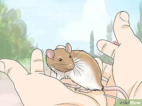 Image titled Play with Your Pet Rat Step 14