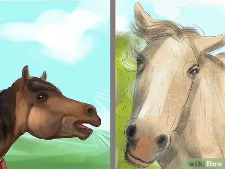 Image titled Understand Your Horse's Body Language Step 11