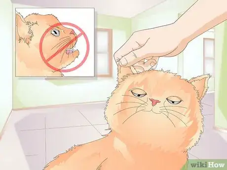 Image titled Teach Your Cat to Kiss Step 8