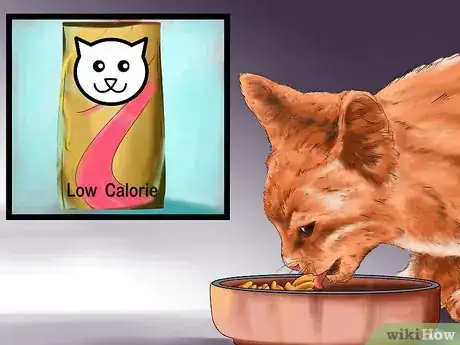 Image titled Choose Cat Food Step 13