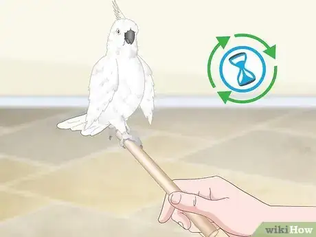 Image titled Bond with a Cockatoo Step 11