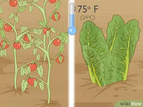 Image titled Grow Your Own Food Step 1