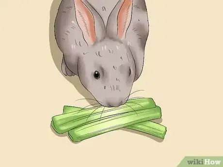 Image titled Feed a House Rabbit Step 3