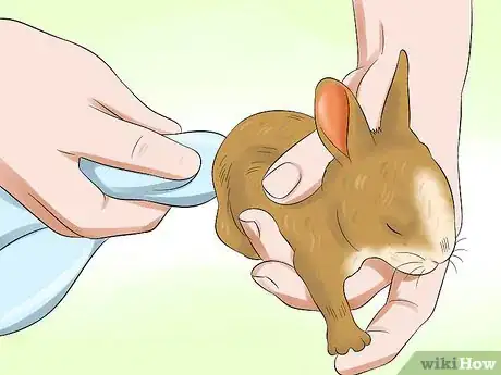 Image titled Prepare for Baby Bunnies Step 19