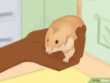 Image titled Take Care of Your Pet Step 1
