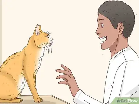 Image titled Know if a Cat Is a Stray Step 2