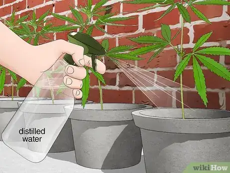 Image titled Plant Clones Step 8