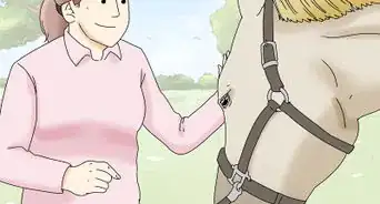 Teach Your Horse to Back up from the Ground