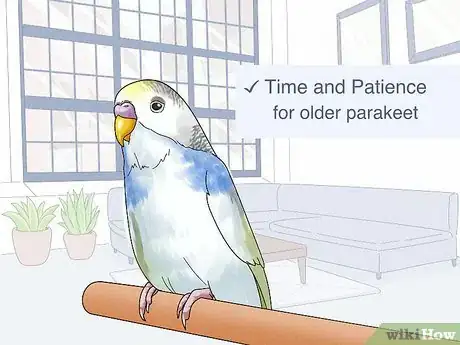 Image titled Potty Train a Parakeet Step 4