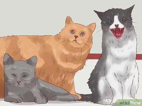 Image titled Discipline Cats Step 7