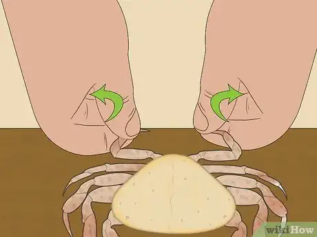 Image titled Eat Dungeness Crab Step 12