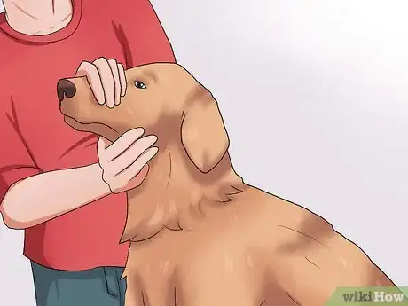 Image titled Get Your Dog to Swallow a Pill Step 16