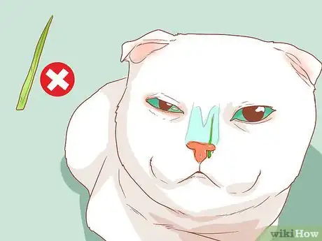 Image titled Treat a Cat with a Stuffy Nose Step 10