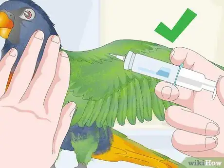 Image titled Treat Psittacine Beak and Feather Disease in Lories and Lorikeets Step 16