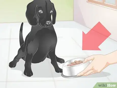Image titled Create a Feeding Routine for Your Dog Step 5