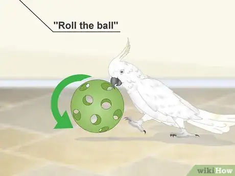 Image titled Bond with a Cockatoo Step 14