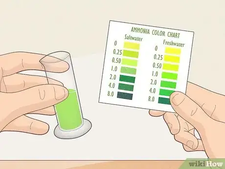 Image titled Check Ammonia in a Fish Tank Step 7