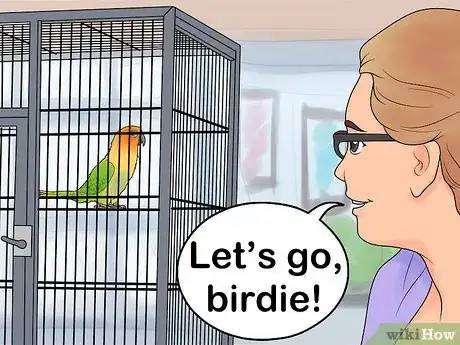 Image titled Interact with Your Conure Step 9