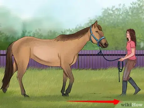 Image titled Teach a Horse to Rear Step 2